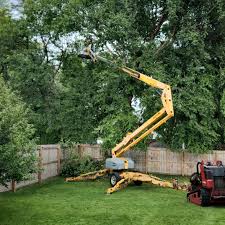 Best Sod Installation  in Thousand Oaks, CA